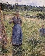Camille Pissarro The Tedder oil painting